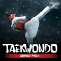 Taekwondo Grand Prix Mod APK icon