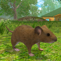 Mouse Simulator : rat rodent animal life‏ icon