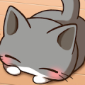 Cat Room - Cute Cat Games icon