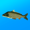 True Fishing. Simulator icon