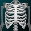 Osseous System in 3D (Anatomy) Mod APK icon
