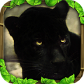 Panther Simulator Mod APK icon