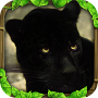 Panther Simulator Mod APK 3.0 - Baixar Panther Simulator Mod para android com [Dinheiro Ilimitado]