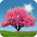 Spring Trees Live Wallpaper Mod APK icon