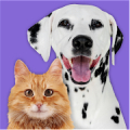 Pet Parade: Cutest Pet Game Mod APK icon