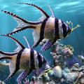 The real aquarium - LWP Mod APK icon