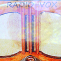 Viper Paranormal's  Radio-Vox Mod APK icon