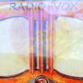 Viper Paranormal's  Radio-Vox icon