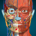 Anatomy Learning - 3D Anatomy Mod APK icon