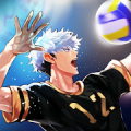 The Spike - Volleyball Story icon