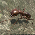 Ant Simulation 3D Mod APK icon