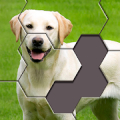 Hexa Jigsaw Puzzle ® Mod APK icon