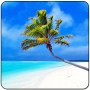 Maldives 3D LWP, True Weather Mod APK 6.04 - Baixar Maldives 3D LWP, True Weather Mod para android com [Pago gratuitamen