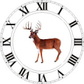 Best Hunting Times Mod APK icon