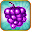 Fruit Blitz Mod APK icon