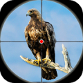 Desert Birds Sniper Shooter 3D Mod APK icon