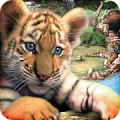 Wildlife Park Mod APK icon