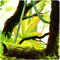 Mossy Forest Live Wallpaper Mod APK icon