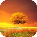 Awesome-Land Pro Livewallpaper Mod APK icon