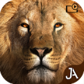 Safari: Online Evolution Mod APK icon