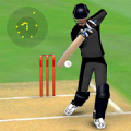 Smashing Cricket: cricket game Mod APK icon