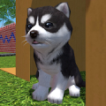 Cute Pocket Puppy 3D - Part 2 Mod APK icon