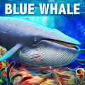 Blue Whale Simulator - Game Mod APK icon