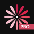 WomanLog Pro Calendar Mod APK icon