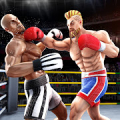 Tag Boxing Games: Punch Fight Mod APK icon