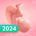 Pregnancy and Due Date Tracker Mod APK icon