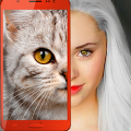 Kitten: what cat are you? joke Mod APK icon