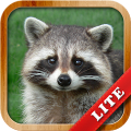 Animals for Kids Mod APK icon