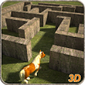 Pony Horse Maze Run Simulator Mod APK icon