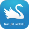 iKnow Birds 2 PRO - Europe icon