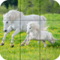 Puzzle - hermosos caballos Mod APK icon