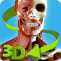 Easy Anatomy 3D - learn anatom Mod APK icon