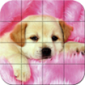 Puzzle - Puppies Mod APK icon