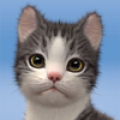 Kitten: Cat Game Simulator Mod APK icon
