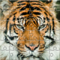 Puzzle Zoo Mod APK icon
