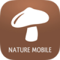 iKnow Mushrooms 2 PRO‏ icon