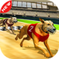 Pet Dog Racing Simulator Games Mod APK icon