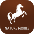 iKnow Horses 2 PRO icon