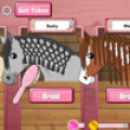 com.tgg.horsecaremanebraiding Mod APK icon