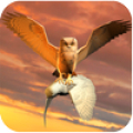 Clan of Owl Mod APK icon