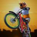 MTB Extreme Downhill Stunts icon