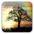 Sun Rise Free Live Wallpaper Mod APK icon