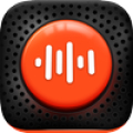 Voice Recorder Pro - VoiceX icon