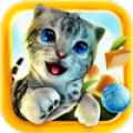 Cat Simulator icon