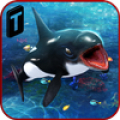 Killer Whale Beach Attack 3D Mod APK icon