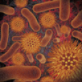 Infectious Disease Compendium Mod APK icon